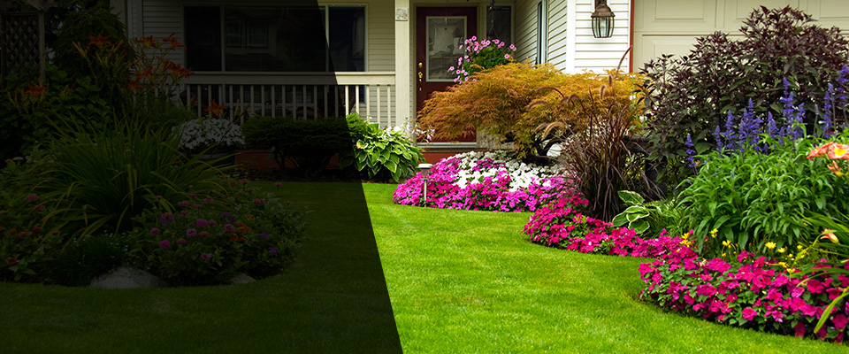 Debary Landscapers