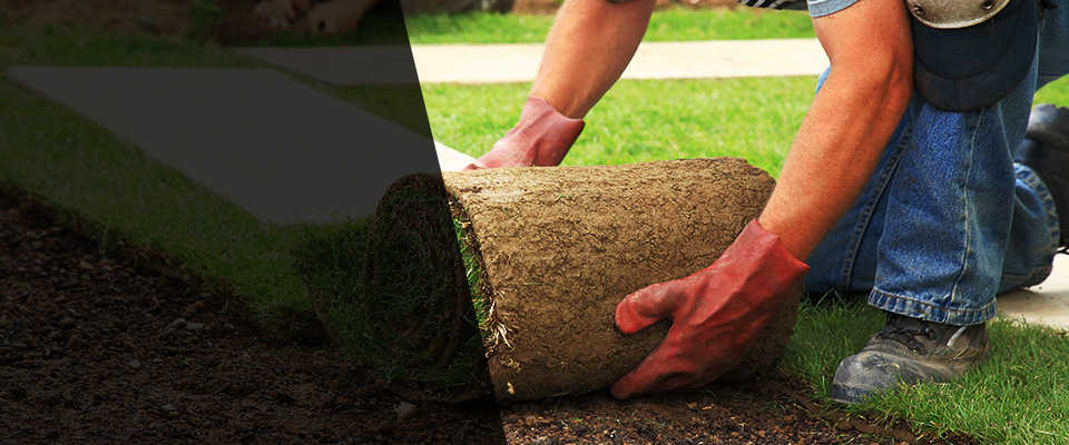 Debary Landscapers